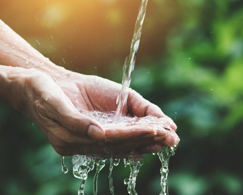 Cómo Cuidar el Agua: 10 Acciones para Contribuir | Gourmet®