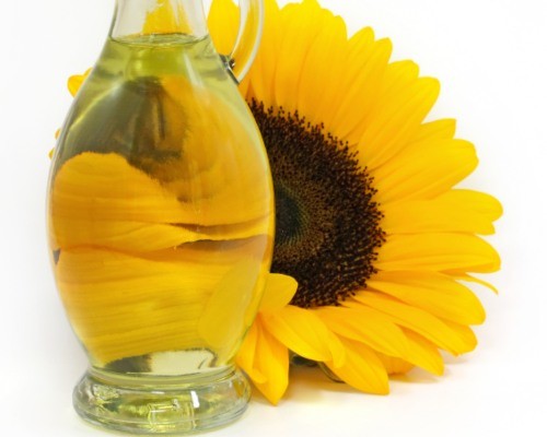 Aceite de girasol: datos curiosos que no conocías
