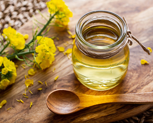 Canola: Características y beneficios